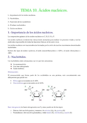 Ácidos nucleicos.