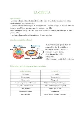 Apuntes de Biología 2 para Bachillerato: Célula, Teoría Celular y Diferencias