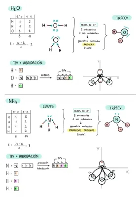 Hibridación y geometría molecular