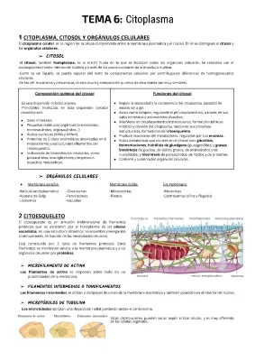 Citoplasma y Citosol: Estructura y Función para la Ebau