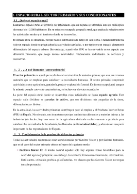 Importancia del Sector Primario en España: Agricultura, Paisajes Agrarios y Más