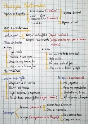 El clima y la vegetación asociada