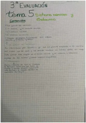 Resumen Sistema Nervioso y Endocrino 3 ESO - Apuntes y Ejercicios Resueltos