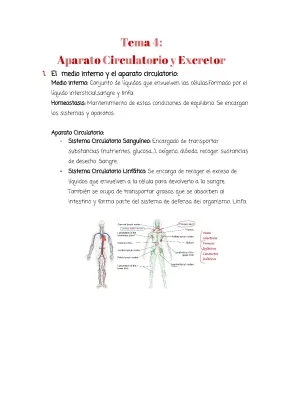 Biología: Aparato circulatorio y Aparato excretor