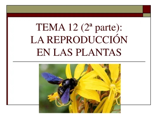 La reproducción en las plantas