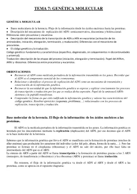 Genética Molecular: Replicação e Transcrição do DNA - Resumo e Conceitos Principais