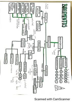 Apuntes de bioelementos y biomoléculas