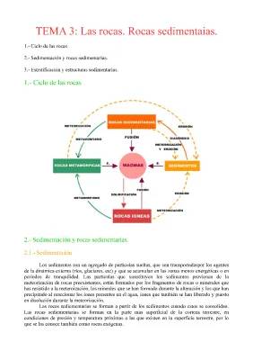 Tema 3. Las rocas sedimentarias.