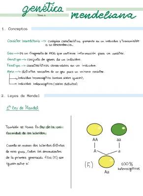 Leyes de Mendel resumidas: Ejemplos y PDF para niños