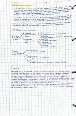 Descubre los Tipos de Sustantivos y Ejemplos para Primaria