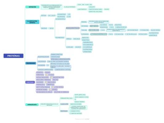 Todo sobre las proteínas: propiedades, funciones y enzimas