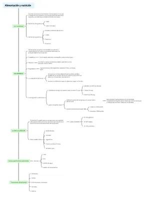 Mapa conceptual sobre la alimentación y nutrición