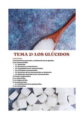 Tema 2: Los glúcidos 