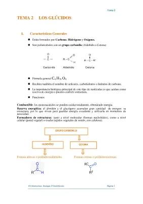 Glúcidos 2 Bachillerato: Resumen, Clasificación y Ejemplos