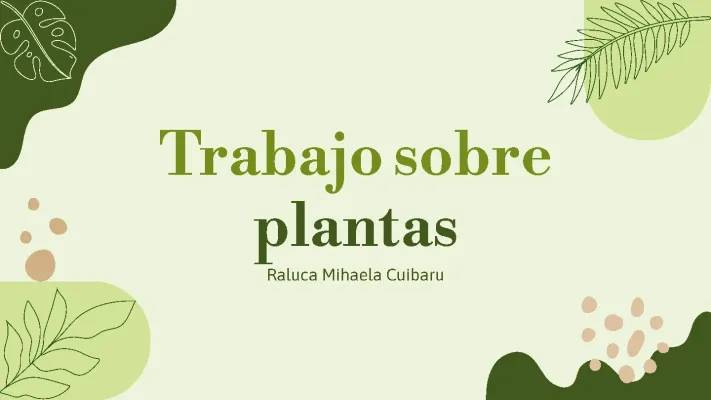 Descubre las Plantas: Briofitas y Pteridofitas para Niños