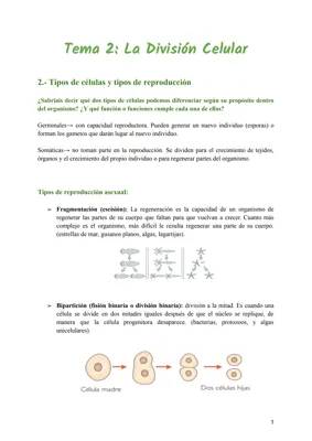 La División Celular - 1° Bach.