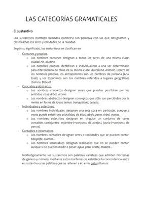 Aprende sobre la clasificación de sustantivos en español y adjetivos específicos