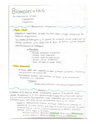 Todo sobre Biomoléculas y Ósmosis: Tipos, Ejemplos y Más