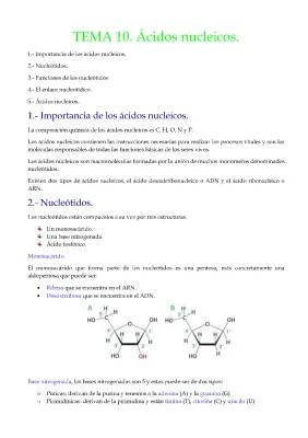 Descubre los Ácidos Nucleicos: Tipos, Estructura y Ejemplos Fáciles de Entender