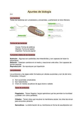 Microorganismos: tipos y características