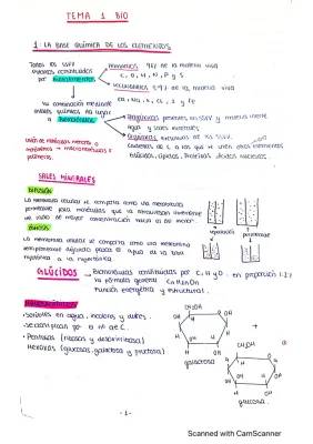 Tema 1 Biología 2 Bachillerato: Proceso de Especialización Celular y Biomoléculas