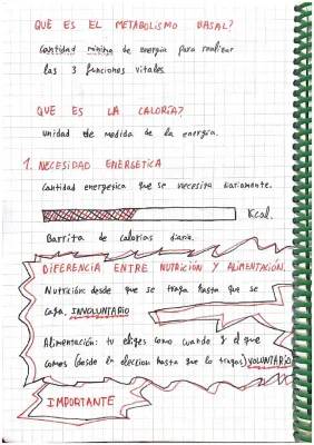 ¿Sabes las Diferencias Entre Nutrición y Alimentación?