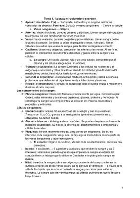 Aparato Circulatorio y Excretor 3 ESO Santillana - Resúmenes y Ejercicios PDF