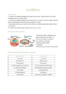 Apuntes de Biología 2 Bachillerato: Células Eucariotas y Procariotas