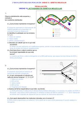 Molecular Genetics in Bacteria: How DNA Copies Itself!