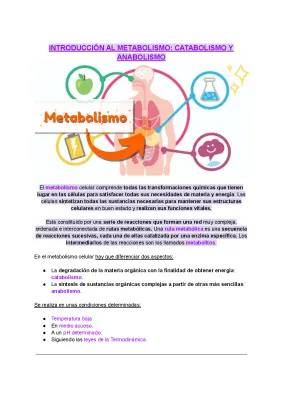 Introducción al Metabolismo Celular: Catabolismo, Anabolismo y Tipos de Organismos