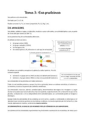 Guía de Lípidos y Proteínas para Biología 2 Bachillerato