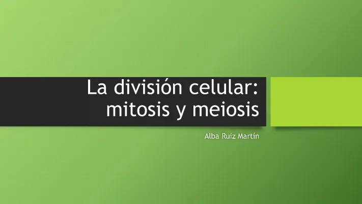 Todo sobre la Mitosis y Meiosis: Fases y Diferencias