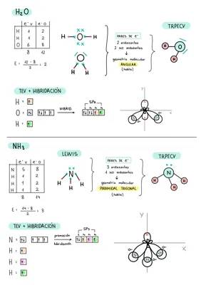 ¿Qué es la Hibridación de Moléculas? Geometría Molecular y Más