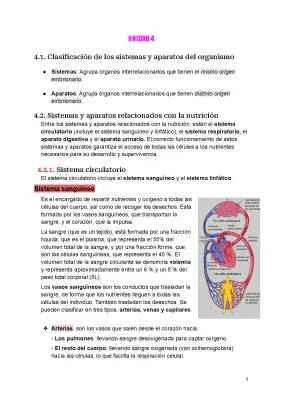 Aparatos y sistemas del cuerpo humano y sus funciones para niños