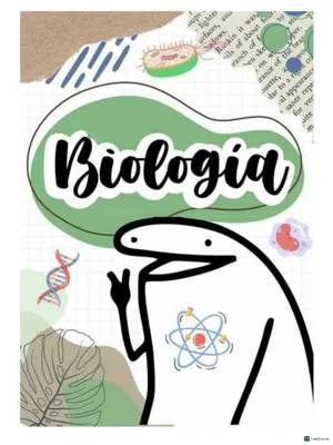 ¿Cómo Funciona el Aparato Digestivo Humano? Descubre la Digestión Mecánica y Química