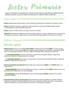 Sector Primario y Más en España 2023: Agricultura, PAC y Sectores Económicos