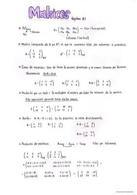 Calculadora de Determinantes: Aprende a Calcular Matrices 2x2, 3x3 y 4x4