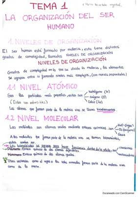 Niveles de Organización del Cuerpo Humano: Resumen y Ejercicios para 3º ESO