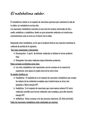 Resumen de Metabolismo Celular: Tipos, Esquemas y Ejemplos