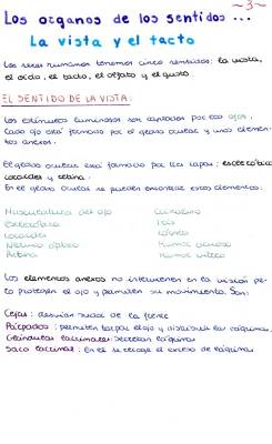 Los Sentidos Para Niños: Vista, Tacto, Olfato y Gusto