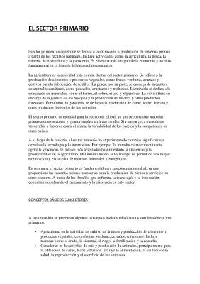 Sectores Primario, Secundario y Terciario: Ejemplos y Características para Niños