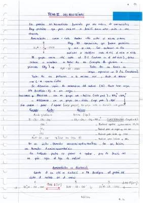 Todo sobre la Estructura de las Proteínas: Primaria, Secundaria, Terciaria y Cuaternaria