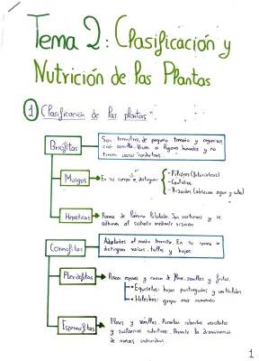 Clasificación de las Plantas y Nutrición para Niños - Esquemas y Ejemplos