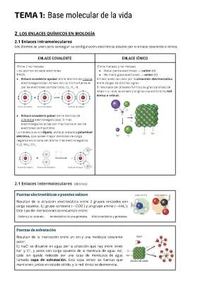 Descubre los Tipos de Enlaces Químicos y Fuerzas Intermoleculares