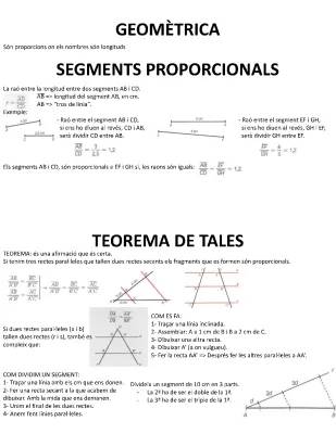 Aprèn com calcular la raó de semblança i triangles semblants