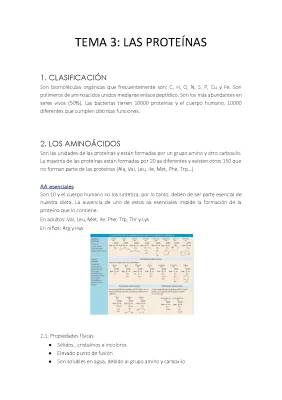 Descubre los Tipos de Proteínas y Aminoácidos Esenciales: Funciones y Estructuras