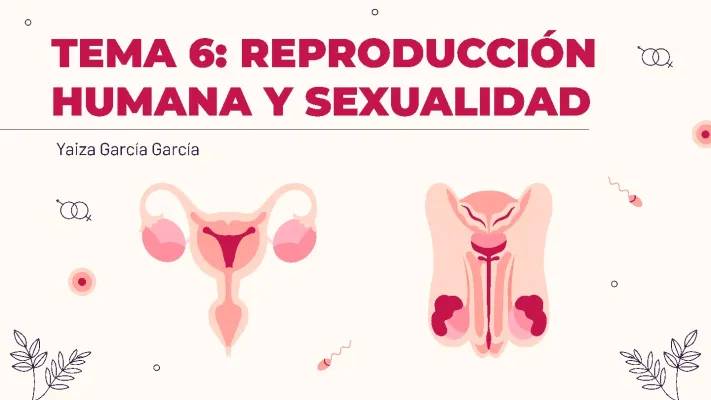 Todo sobre la Reproducción Humana y Biología 3 ESO - Apuntes y Recursos