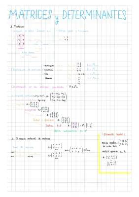 Descubre el Mundo de las Matrices: Definiciones, Tipos y Operaciones