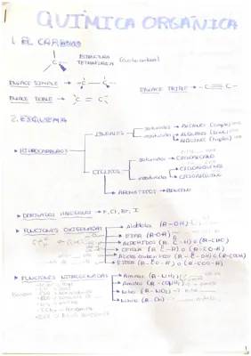  formulación orgánica 