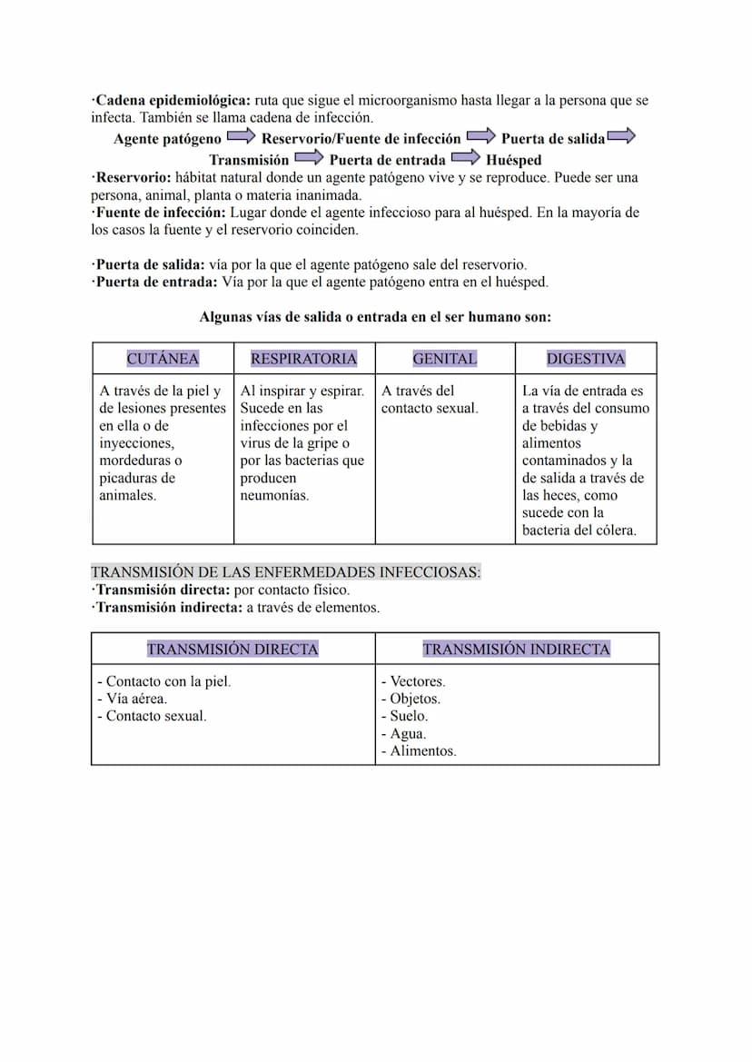 La salud y el sistema inmunitario:
La salud tiene tres componentes: físico, mental y social. Todos son necesarios para estar
sanos y están í
